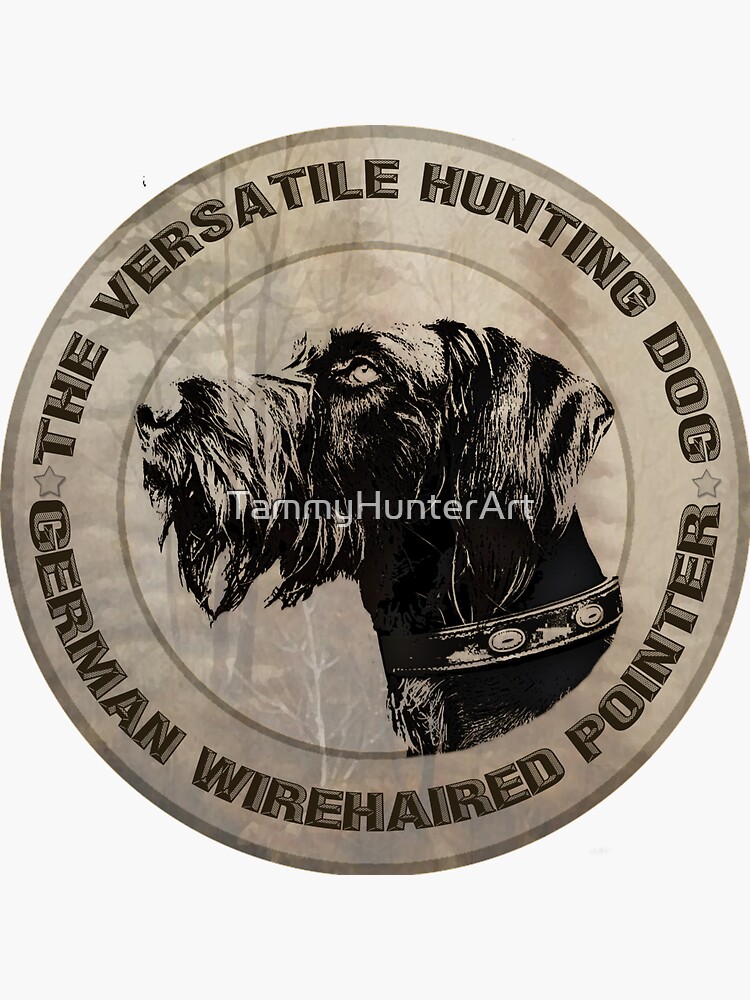 Versatile Hunting Dog, Deutsch Drahthaar