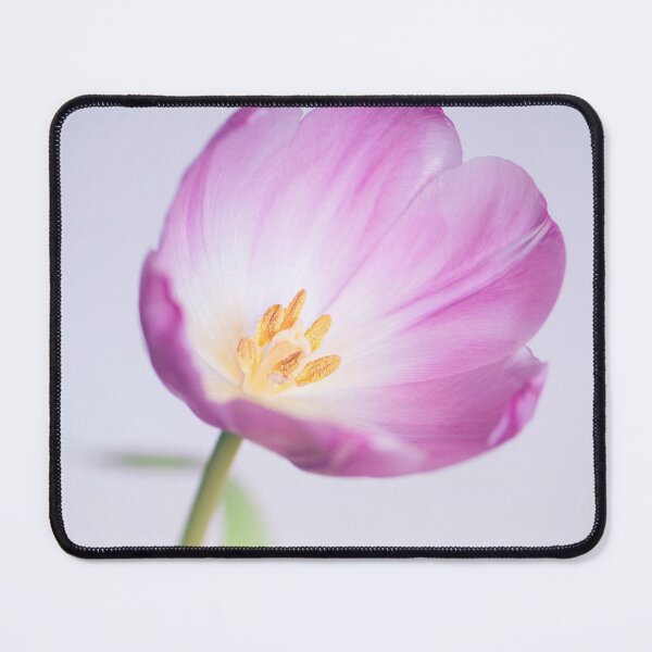 Item preview, Delicate pastel spring tulip designed and sold by CyaniRose.