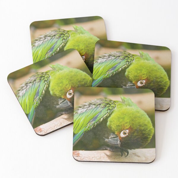 Item preview, Green Parakeet designed and sold by Dominika Aniola.