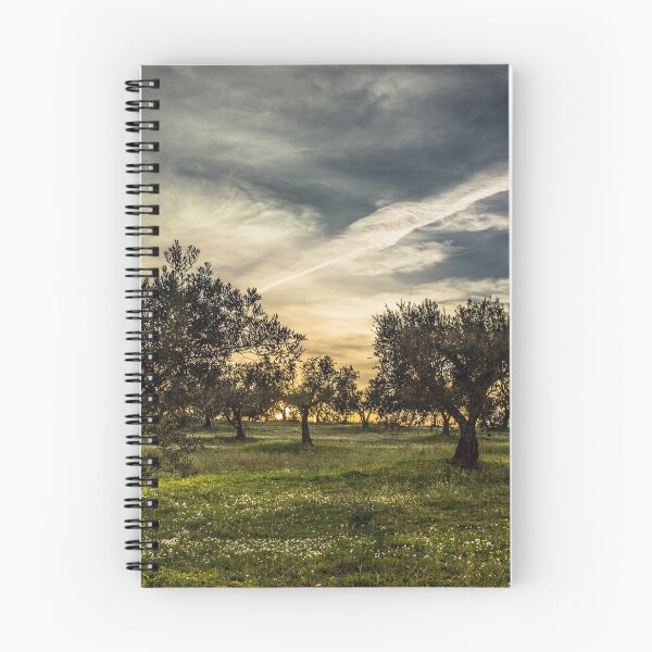 Item preview, Sunset and Trees designed and sold by edgar89.
