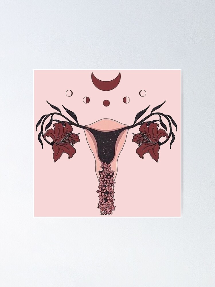 Free Vector | Female reproductive system