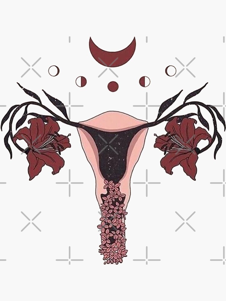 Pegatina Sistema Reproductor Femenino De Belleza Con Flores Útero Dibujado A Mano útero 1284
