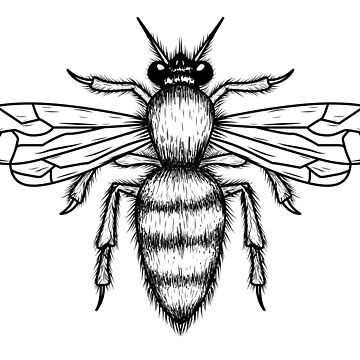 Cute bee vector image, save the bees Sticker for Sale by afonso-arts