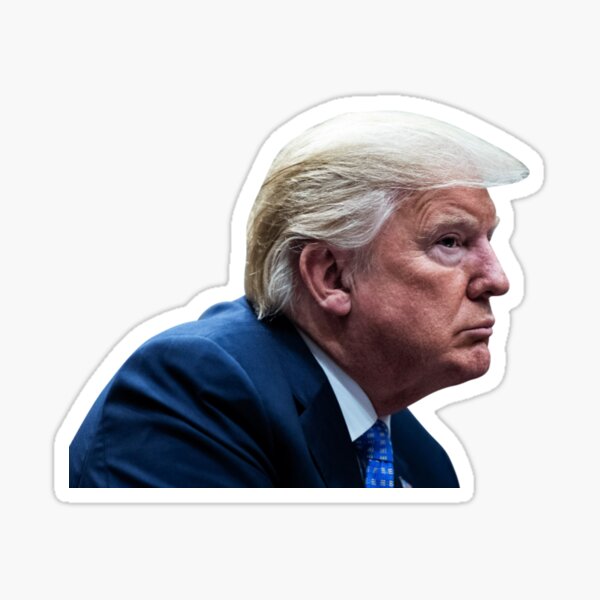 Item preview, trump window sticker designed and sold by Artiish.