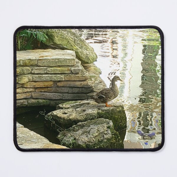 Item preview, Riverwalk Ducky designed and sold by astroshadow.