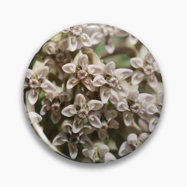 Item preview, Milkweed designed and sold by ztrnorge.