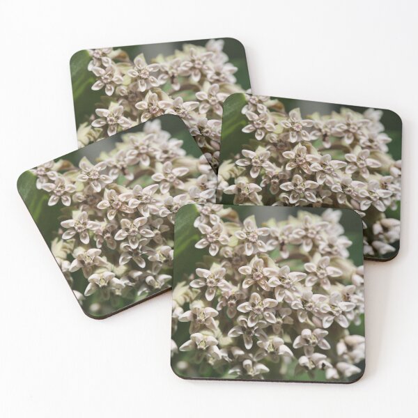 Item preview, Milkweed designed and sold by ztrnorge.