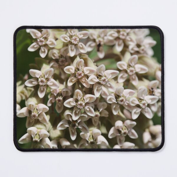 Item preview, Milkweed designed and sold by ztrnorge.