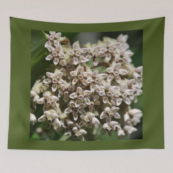 Item preview, Milkweed designed and sold by ztrnorge.