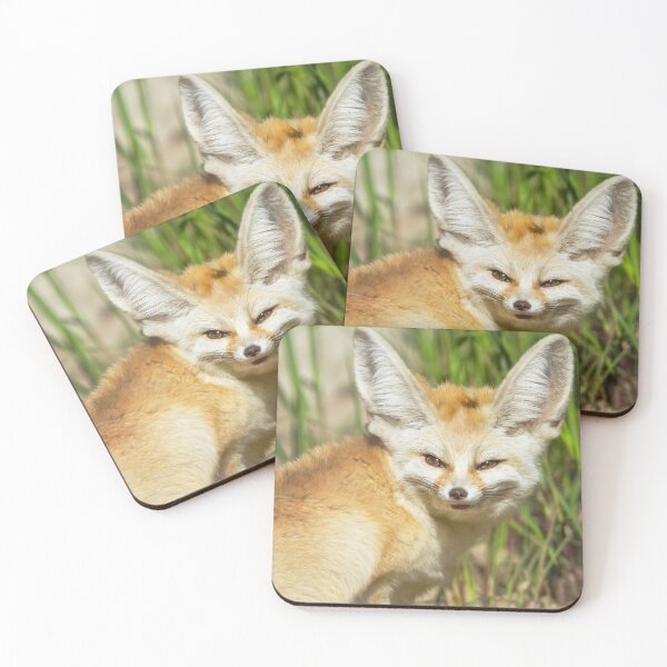 Item preview, Fennec Fox designed and sold by Dominika Aniola.