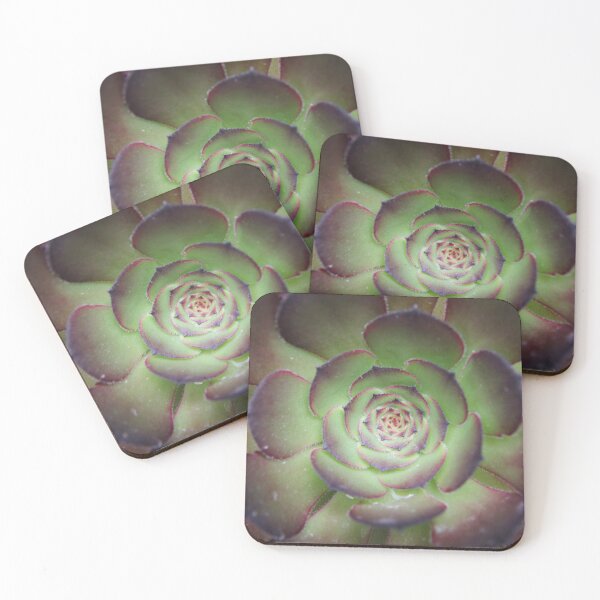 Item preview, Succulent Vignette designed and sold by KPockettPhotos.
