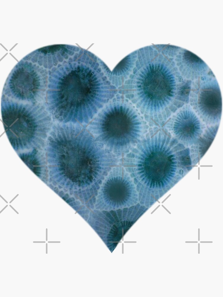 Blue Petoskey stone heart pattern, the Great Lake state, Michigan