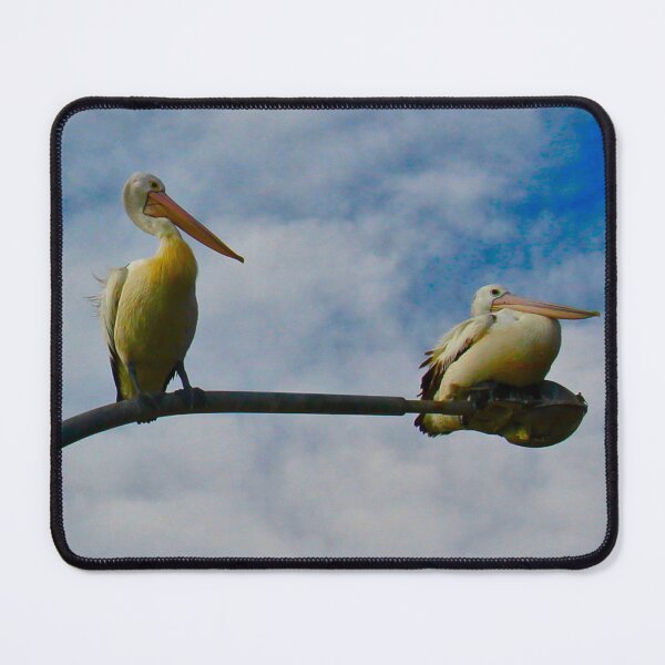 Item preview, Two Pelicans on a Light! designed and sold by Mickangelhere.