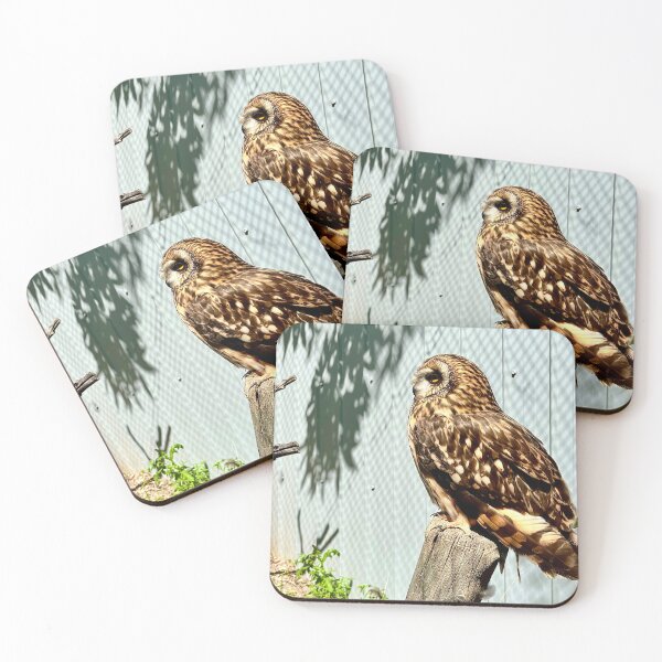 Item preview, Short Eared Owl designed and sold by Nebuliz.