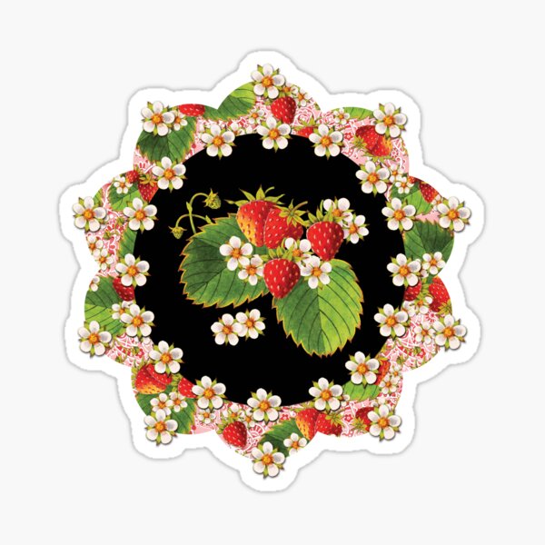 Pink Paisley Strawberries Sticker