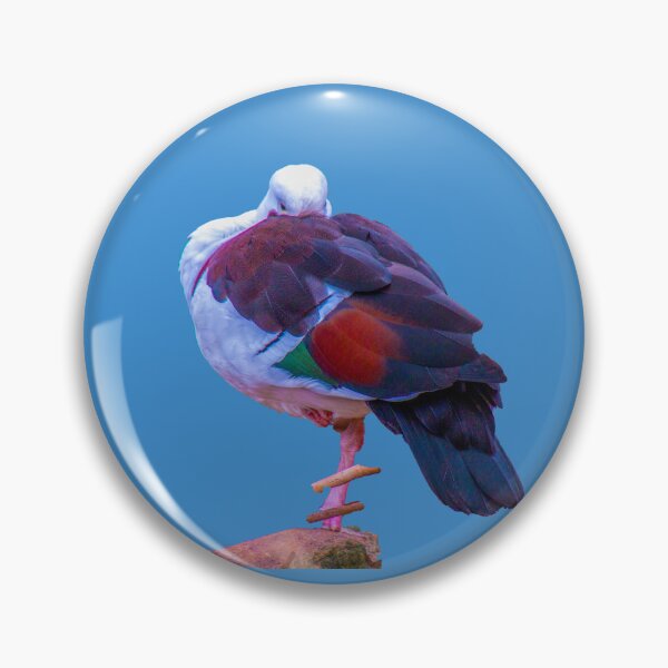 Item preview, Pidgeon  designed and sold by indiafrankk.