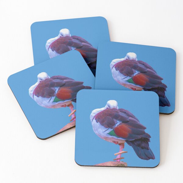 Item preview, Pidgeon  designed and sold by indiafrankk.