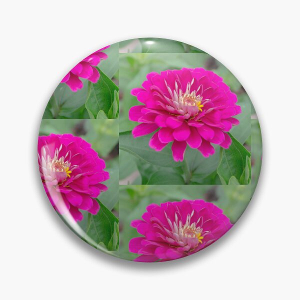 Item preview, Beautiful Pink Zinnia Flower designed and sold by silviaol.