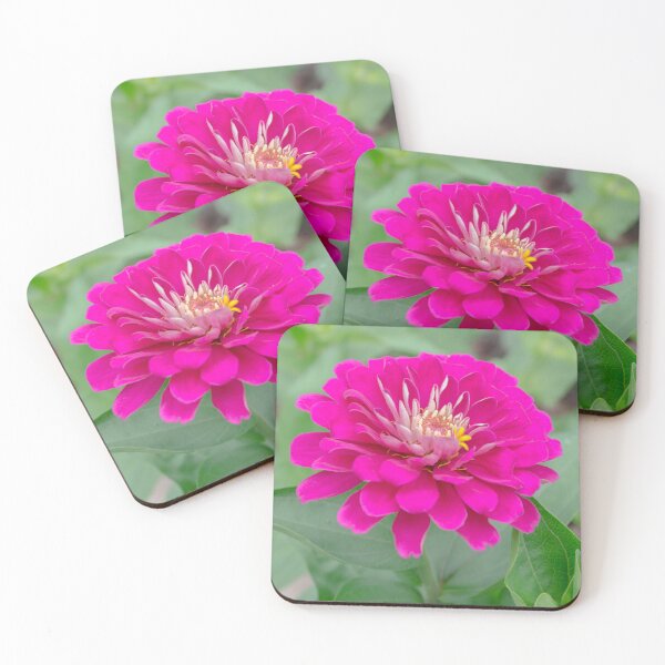 Item preview, Beautiful Pink Zinnia Flower designed and sold by silviaol.