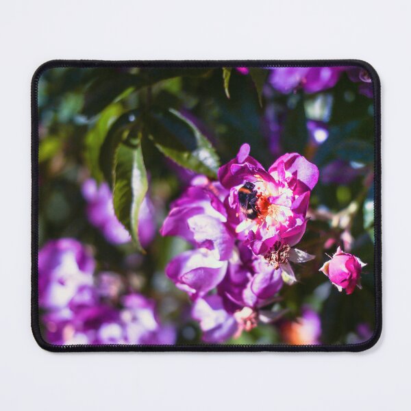 Item preview, Looking - A View designed and sold by Carl Gaynor.