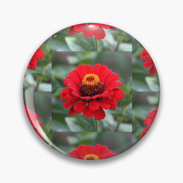 Item preview, Beautiful Vibrant Red Zinnia Flower designed and sold by silviaol.