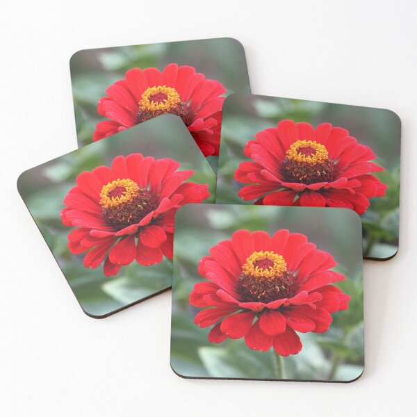 Item preview, Beautiful Vibrant Red Zinnia Flower designed and sold by silviaol.
