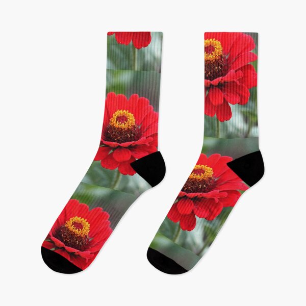 Item preview, Beautiful Vibrant Red Zinnia Flower designed and sold by silviaol.