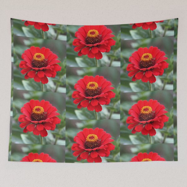 Item preview, Beautiful Vibrant Red Zinnia Flower designed and sold by silviaol.