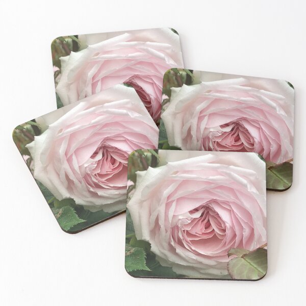 Item preview, English Country Garden Rose close up designed and sold by KVDcreations.