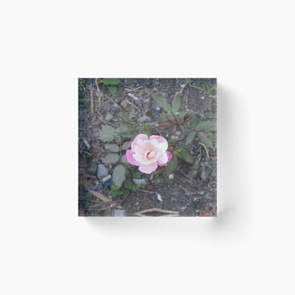 Item preview, The Pink Loner designed and sold by Photography On The Fly.