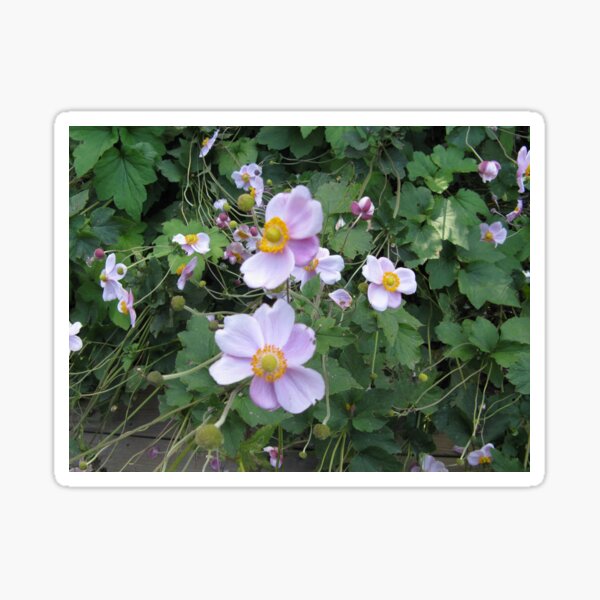 Pastel Purple Pleasure Sticker