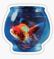 Big fish theory vince staples Sticker