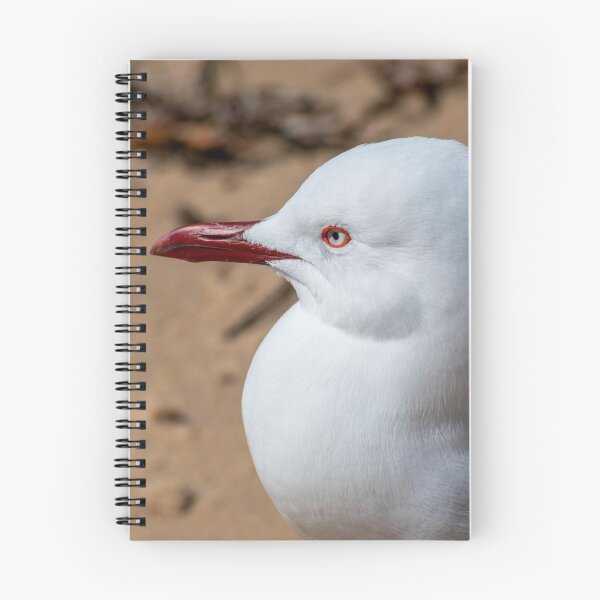 Item preview, Seagull on the Sand at Pearl Beach NSW Central Coast of Australia designed and sold by suziq1962.
