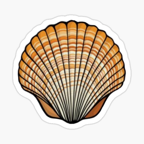 Aperçu de l'œuvre coquillage créée et vendue par OutdoorDesign.