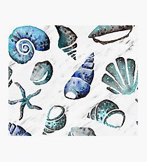 South pacific sea shells - white marble Photographic Print
