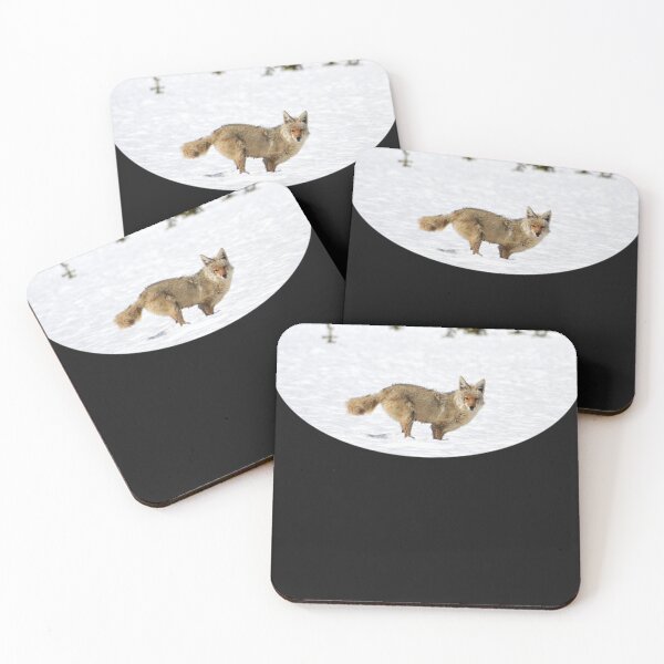 Item preview, Coyote in Snow with Trees, Wild Coyote, Animal in Snow, Snow in Yellowstone, Animal  designed and sold by derckzodreye.