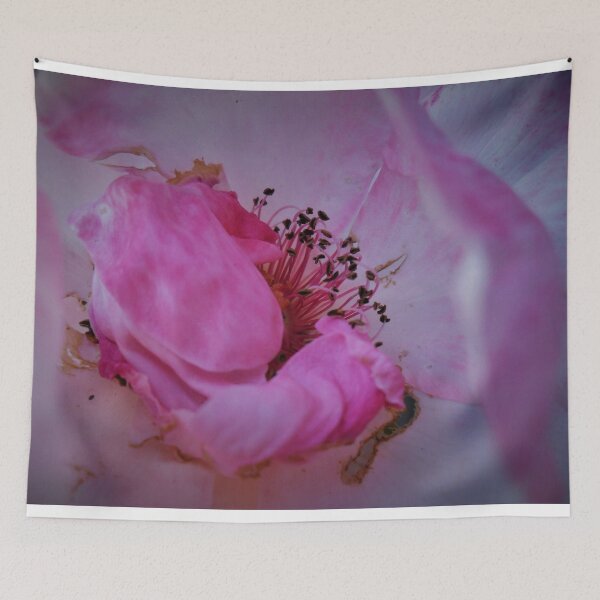 Item preview.