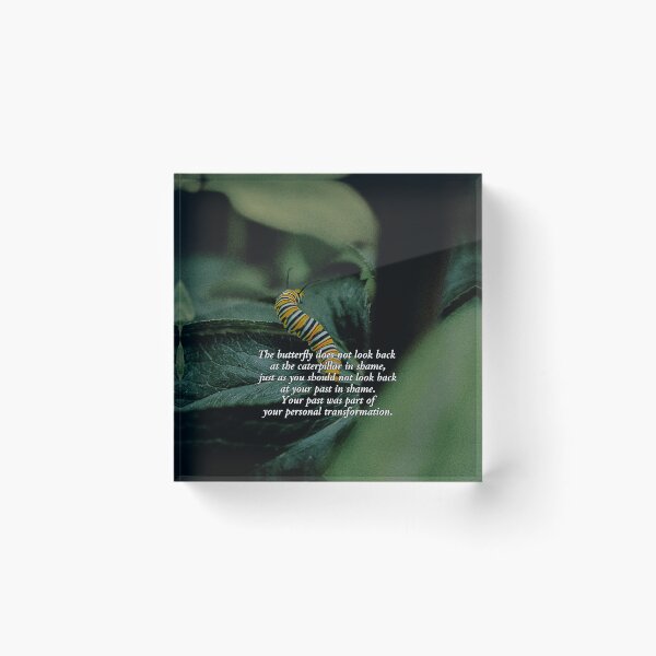 Item preview, Don't Look Back In Shame designed and sold by Emilyromrell.
