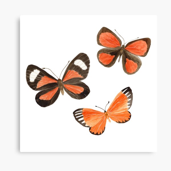 CANVAS Monarch Butterflies Flutter From Forest Art print POSTER