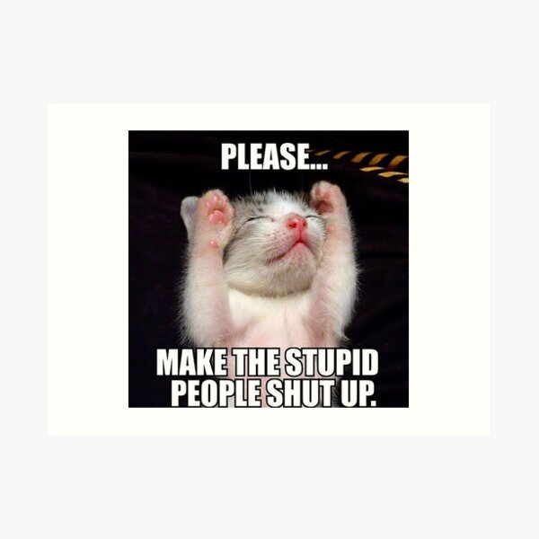 "Funny Cat Meme" Art Print for Sale by jacqueiga Redbubble