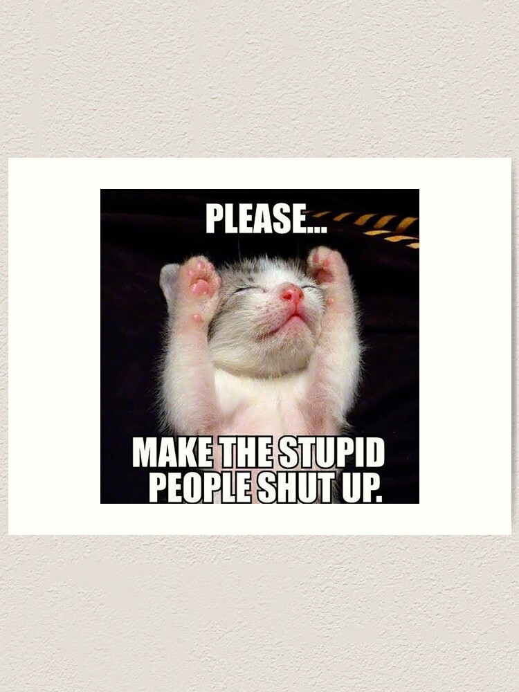 "Funny Cat Meme" Art Print for Sale by jacqueiga Redbubble