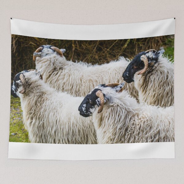 Item preview, The Flock  designed and sold by mhodgesphotos.