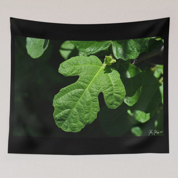 Item preview, Fig Tree Leaf designed and sold by artbymisterfatz.