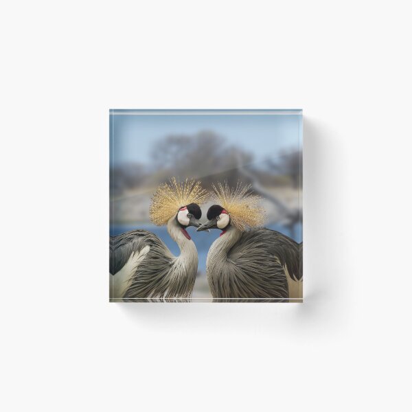 Item preview, African Grey Crowned Cranes, Golden Crested Crane Couple  designed and sold by Orianah.