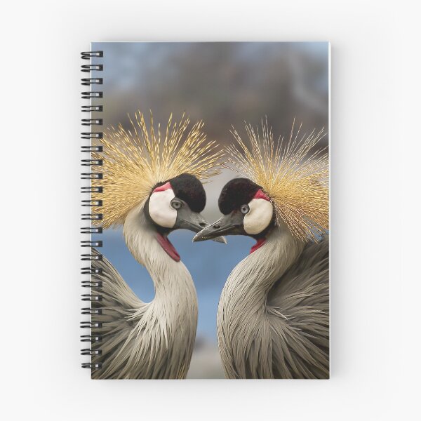 Artikelvorschau, Afrikanischer Grau-Kronenkranich, Golden Crested Crane Couple entworfen und verkauft von Orianah.