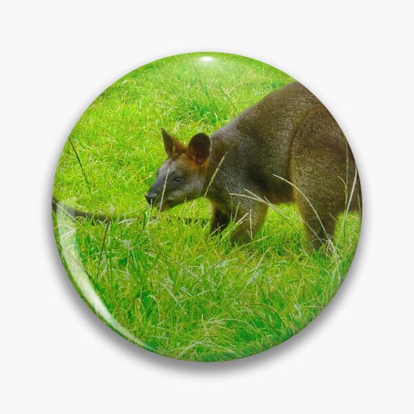 Item preview, Swamp Wallabies having a feed designed and sold by Mickangelhere.