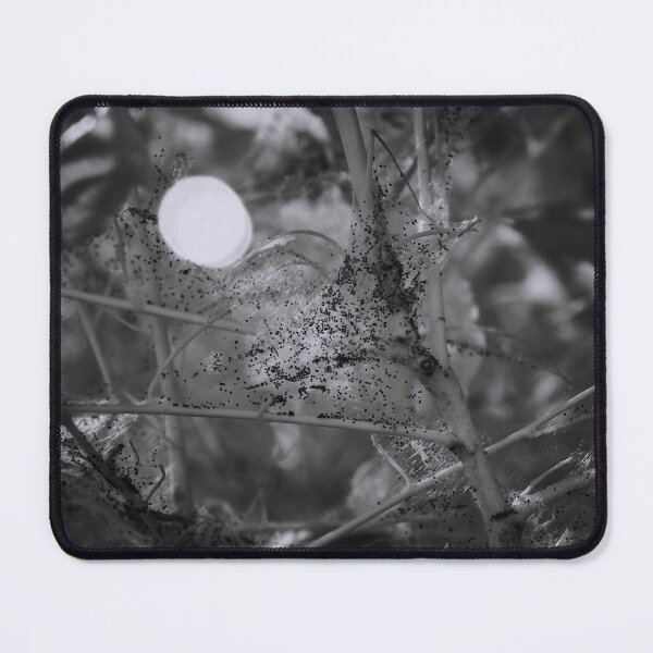 Item preview, Marks marks marks. Bird-cherry ermine designed and sold by Jouko Lehto Photography.
