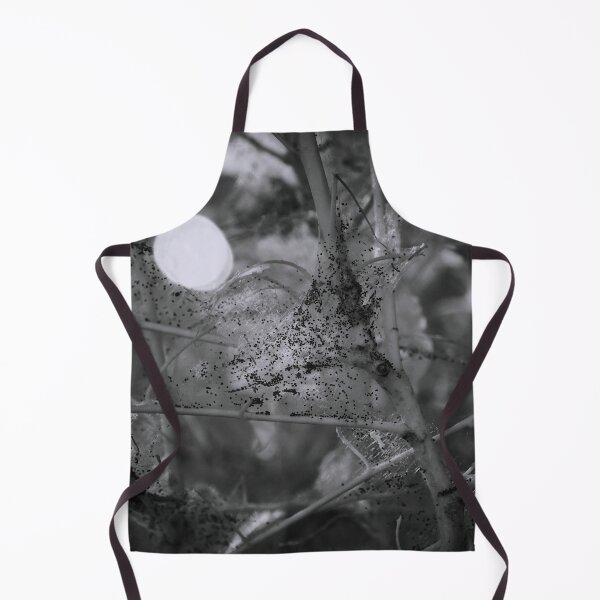 Item preview, Marks marks marks. Bird-cherry ermine designed and sold by Jouko Lehto Photography.