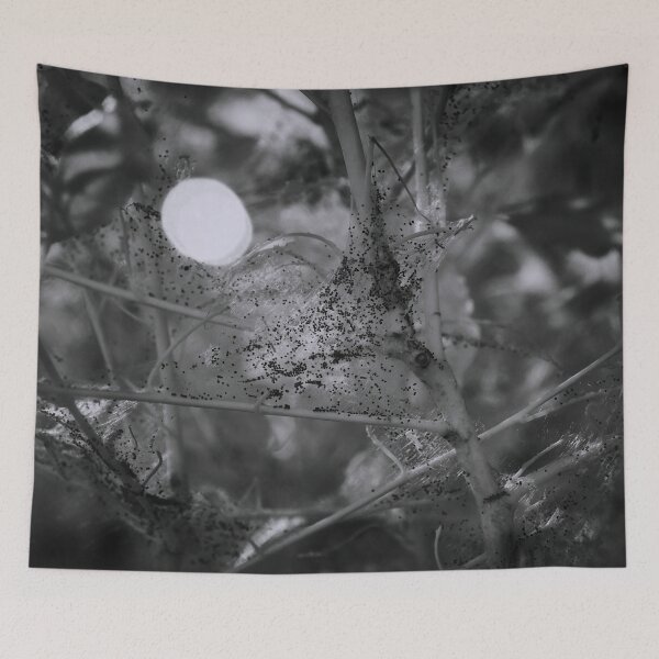 Item preview, Marks marks marks. Bird-cherry ermine designed and sold by Jouko Lehto Photography.