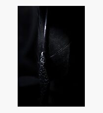 Midnight Quill Photographic Print